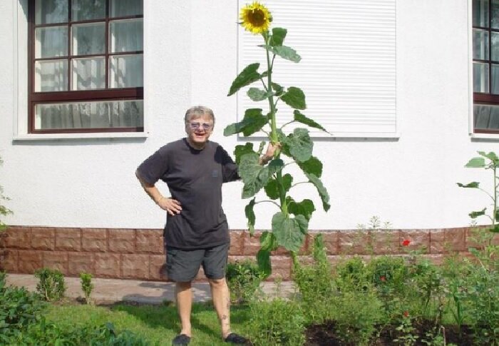 На даче в Переделкино. | Фото: instagram.com.