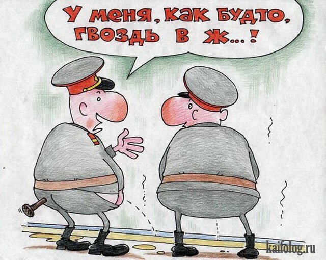 Изображение взято из открытых источников