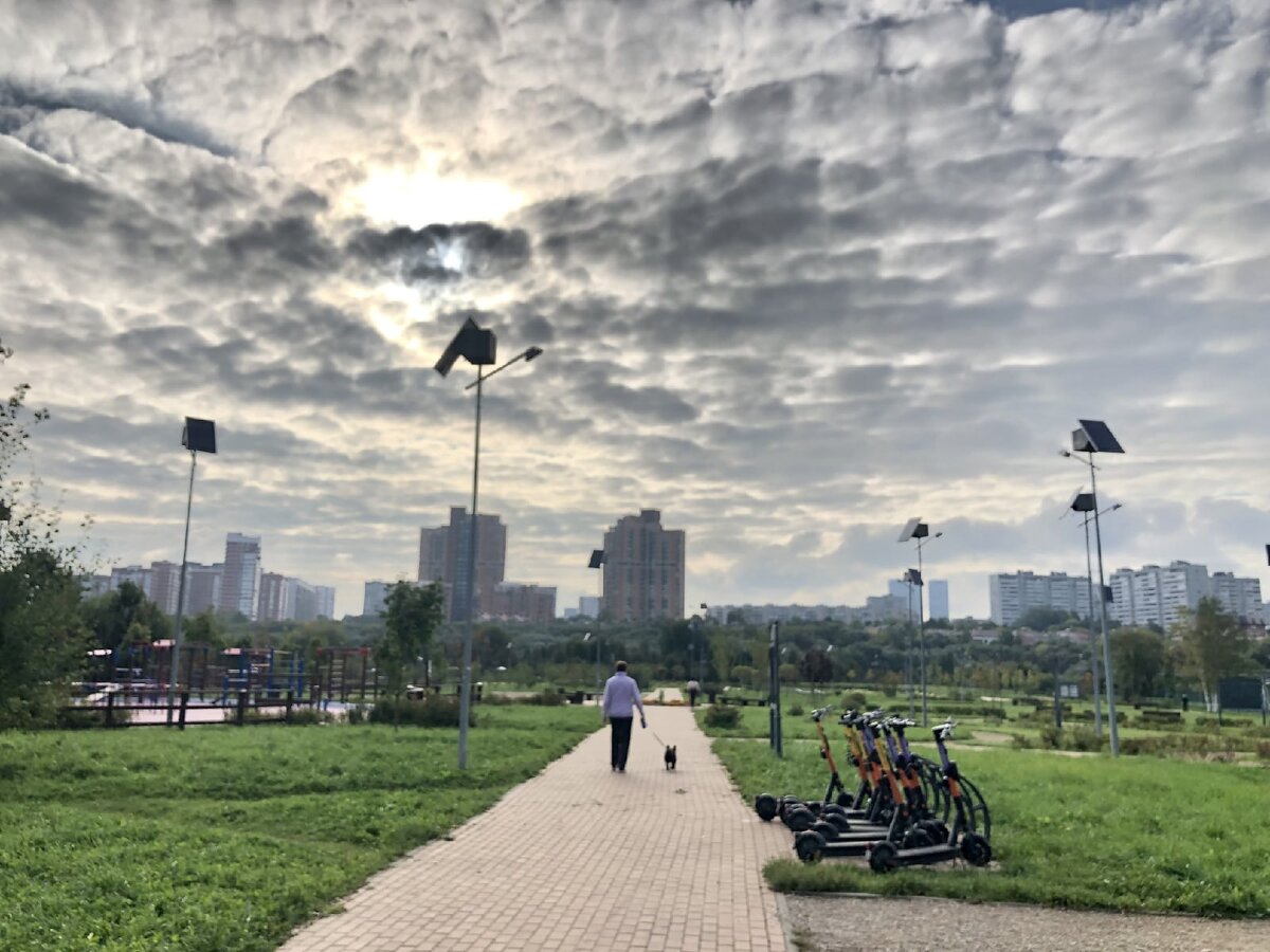 Природный заказник «Долина реки Сетунь» Фотограф: Александра Измайлова

