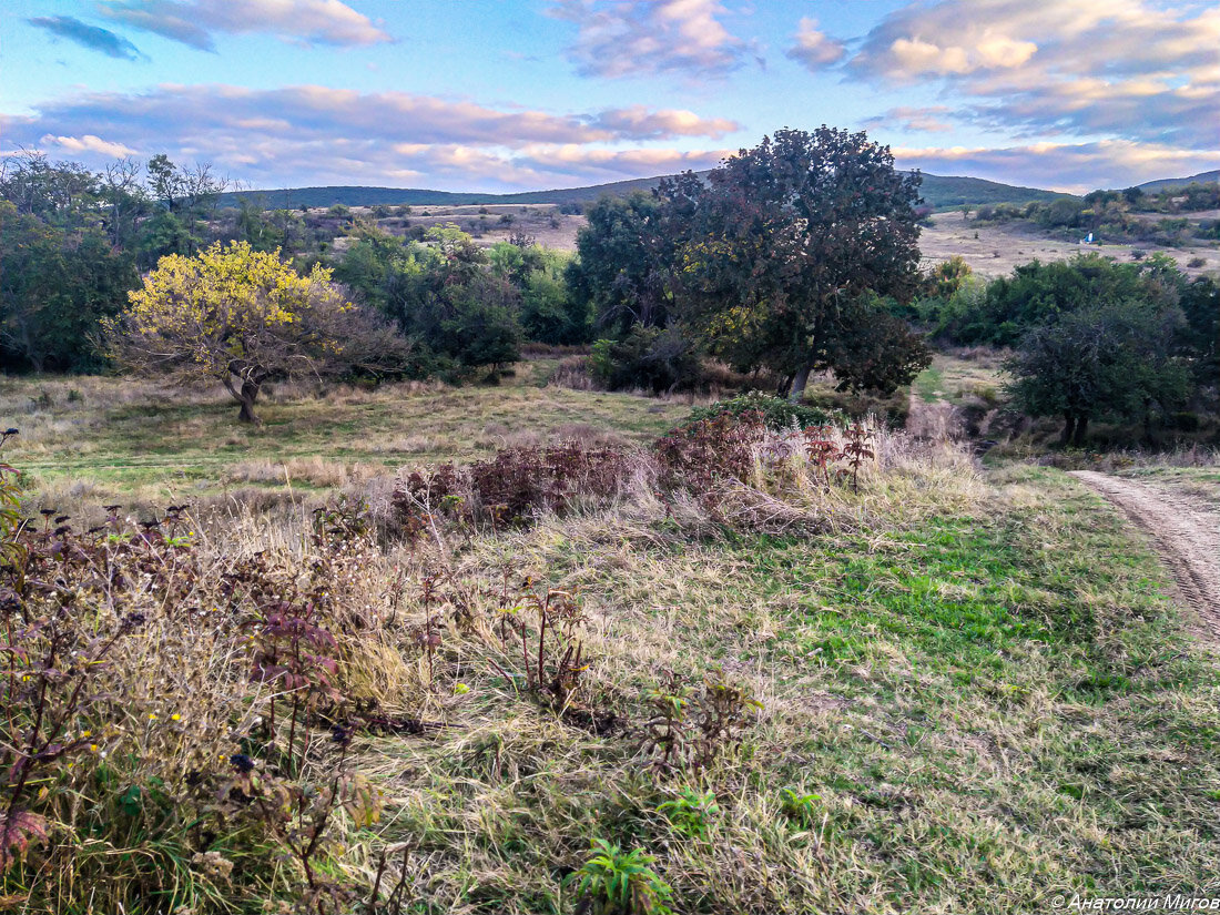 На фото:  на южной окраине Старого Крыма.