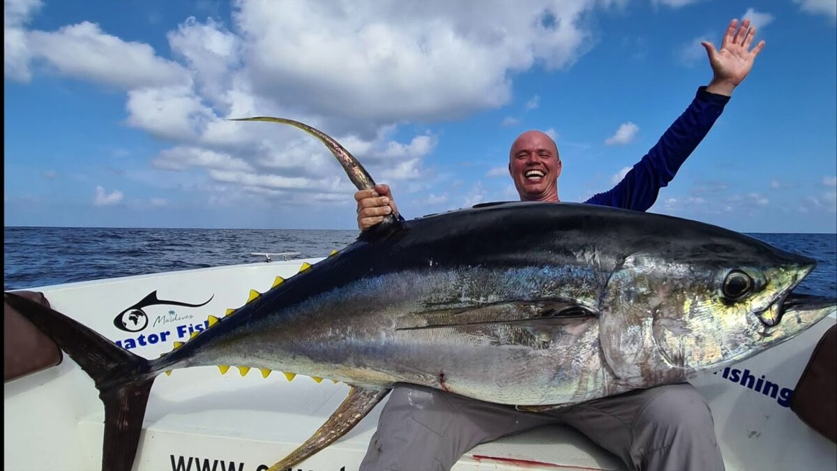 Вот уж не думал, что Норвегия одна из самых рыбных стран мира.   Если Европа полна сюрпризов, то уж Норвегия удивить точно может. 
 Сразу хочу извиниться за качество фотографий. Тянет меня куда-нибудь в теплые страны с их теплым морем. 
 В Норвегии есть горнолыжные курорты, но мы их не любим, ведь кататься, сами понимаете, предстоит по равнине. Поэтому скатались на ледники и и с удовольствием послушали местных рыбаков. 
 Я, как любитель рыбалки, считал, что в Норвегии рыба совсем не ловится, а оказывается у Норвегии есть настоящая страсть – рыбалка, и она на вкус, как настоящая рыба. 
 Приехав к норвежским островам, увидели там только рыбаков и норвежские корабли, и отправились обратно в Осло. 
 Мы выбрали музей "Фрама", где и нас подловили рыбаки. 
 Нужно ли получать лицензию на ловлю рыбы? 
 Нет, ловят совершенно бесплатно. 
 Как только мы приехали в Олесунн, обязательно отправились на рыбалку. Поразил тот факт, что местные жители не имея лицензии на рыбалку, в принципе, не нарушают правил ее проведения. Зачем же ей тогда нужны лицензии? 
 Казалось бы, кому какое дело, что вы ловите рыбу? Почему должно быть принято какое-то решение, чтобы кому-то нужно было ловить рыбу? 
 Вот эта бессмысленная вода, которую поставили в реке на дно, она никак не спасает рыбу от гибели, как не спасают трубы завода от тех же самых причин, которые могли бы быть причиной гибели рыбы. 
 Эти острова на реках, на норвежской стороне. 
 Забавно, что норвежцы являются единственными, кто эту воду не пьет. Можно было бы, конечно, попробовать поймать рыбу на эту воду, но если ее там не будет, то и смысла в ней не будет. 
 Первый улов. Куда бросить, чтобы спастись от жаждущих тебя? 
 Сразу скажу, что и здесь рыбой в Норвегии не пахнет. Несколько рыбаков, просто стояли и смотрели, как мы ловим рыбу. Это не рыбалка. 
 Рыбалка — это, прежде всего, общение с природой. Поэтому, с собой в Норвегию всегда берем удочки, ну, и, конечно же, спининг. 
 Какое главное рыболовное правило? 
 Если не успели убить рыбу до закрытия, то клёв будет снова. 