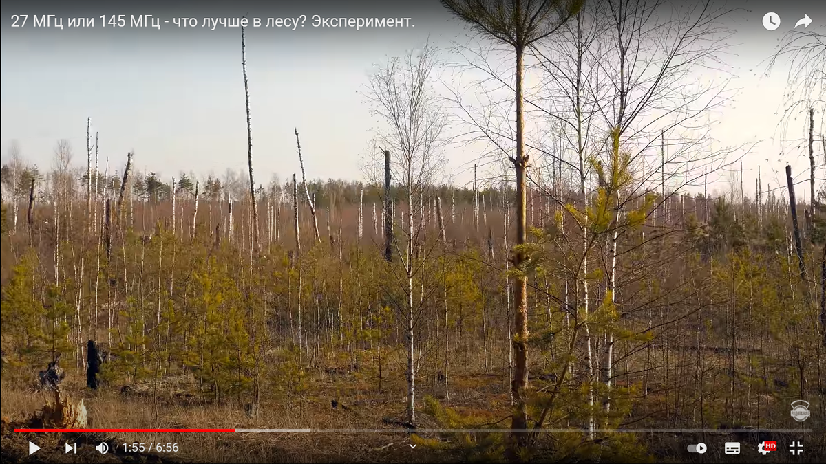 А вот местность МЕЖДУ контрольными точками в тесте Игонина (кадр из его же видео)