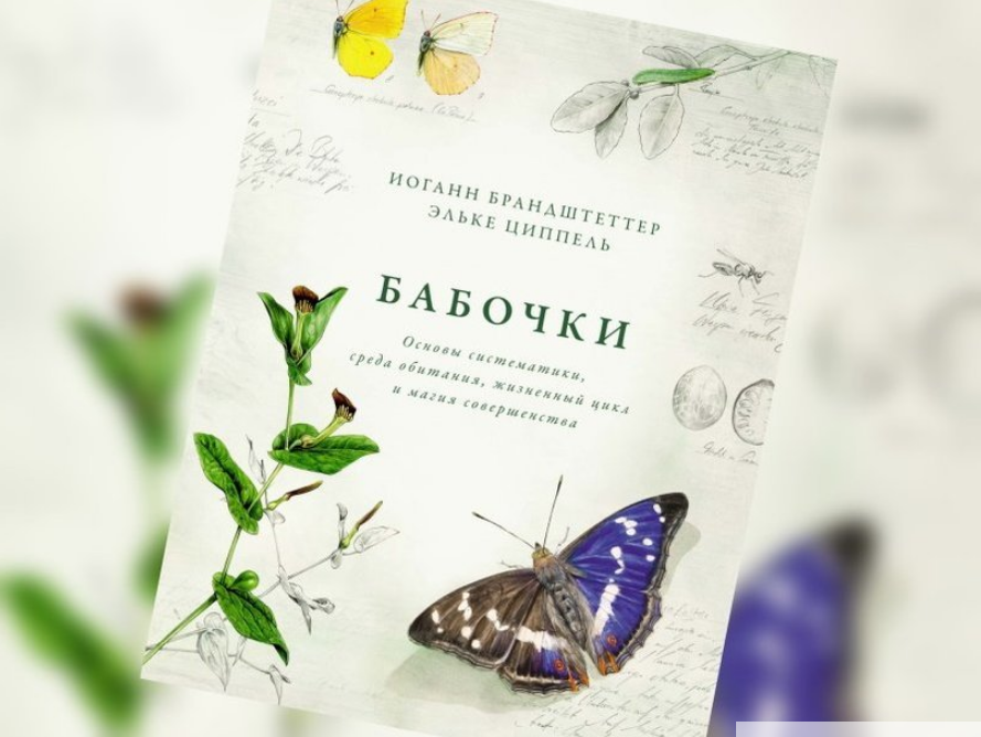 Бабочки. Основы систематики, среда обитания, жизненный цикл и магиясовершенства