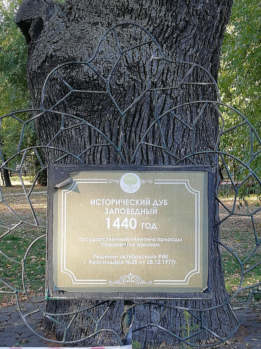 Первый толстяк, 581 годик отроду.