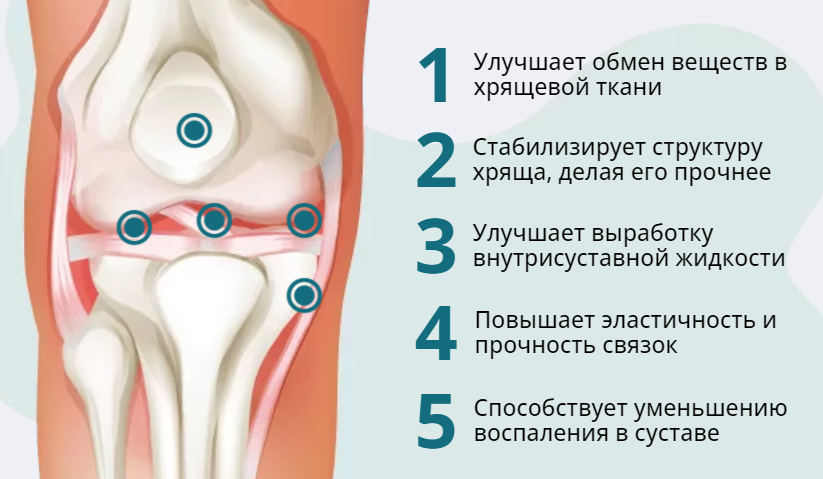 Препарат на основе хрящей акул благотворно действует на все аспекты работы суставов уже с первых дней применения.* Н.Н. Ковалев. Т.Н. Пивненко. Препарат на основе хрящей акул в помощь практикующему врачу. М.: Издательский дом Академии Естествознания, 2015. – 66 с. 