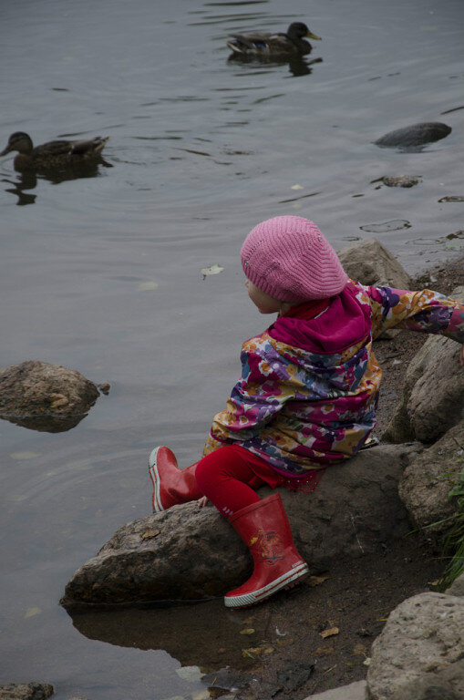 Уточки на пруду