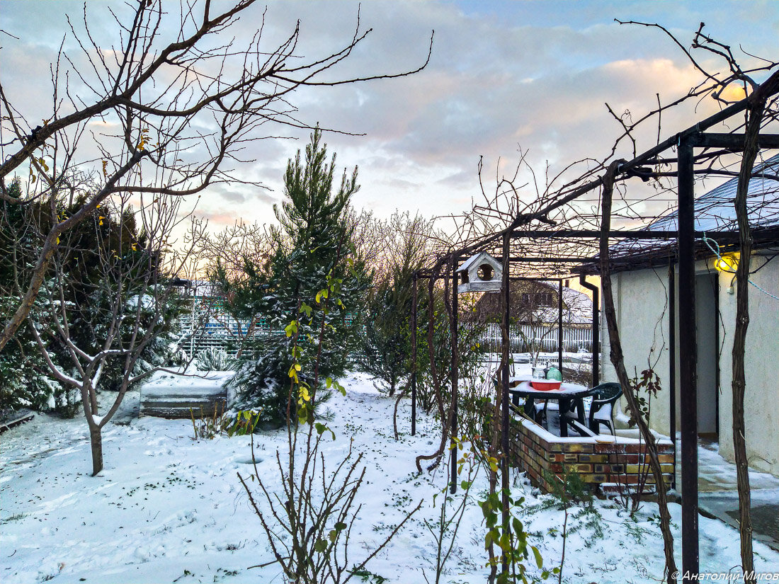На фото: так выглядел наш сад утром 1 декабря.