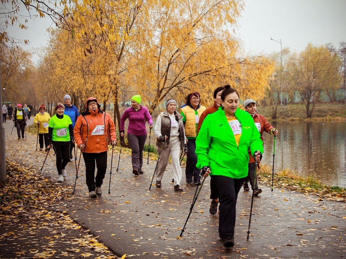 скандинавская ходьба с палками в парках. парк харинка скандинавская ходьба. скандинавская ходьба московское долголетие. шведская ходьба. фестиваль скандинавской ходьбы.