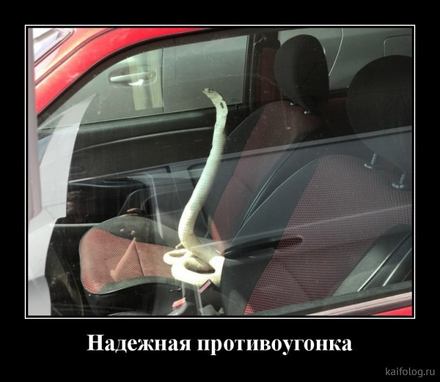 Интересно. А хозяин туда вернулся?🤔🤔🤔