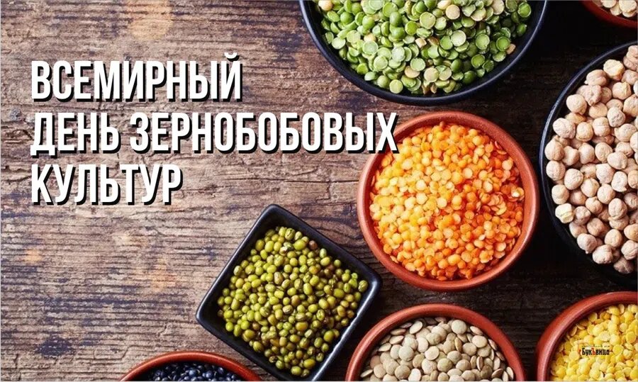 Всемирный день зернобобовых культур 10 февраля: ценнейшие поздравления и открытки | Курьер.Среда | Дзен