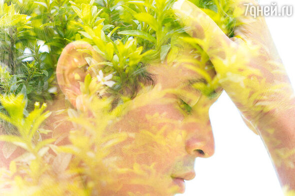     123RF/legion-media.ru