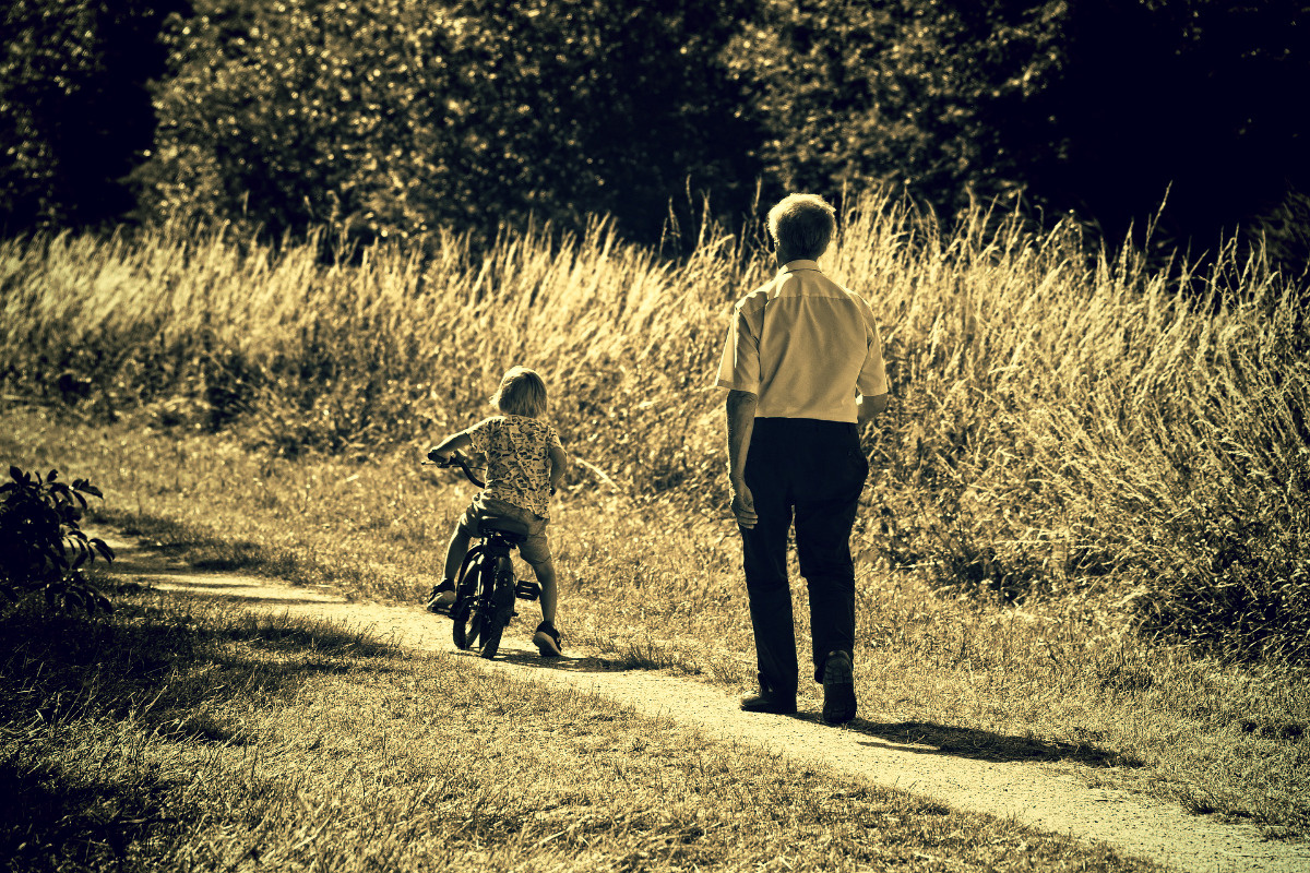 Источник - pixabay.com.