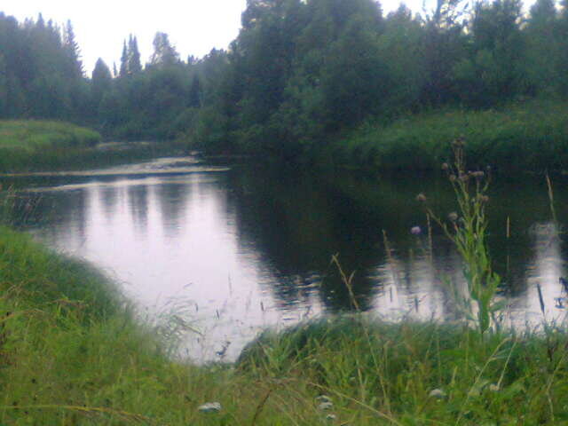 Река Лёль летом