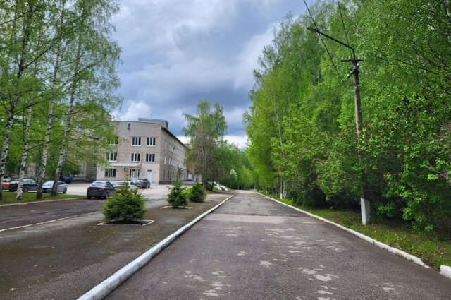    Фото:  АиФ/ Лидия Лимонова