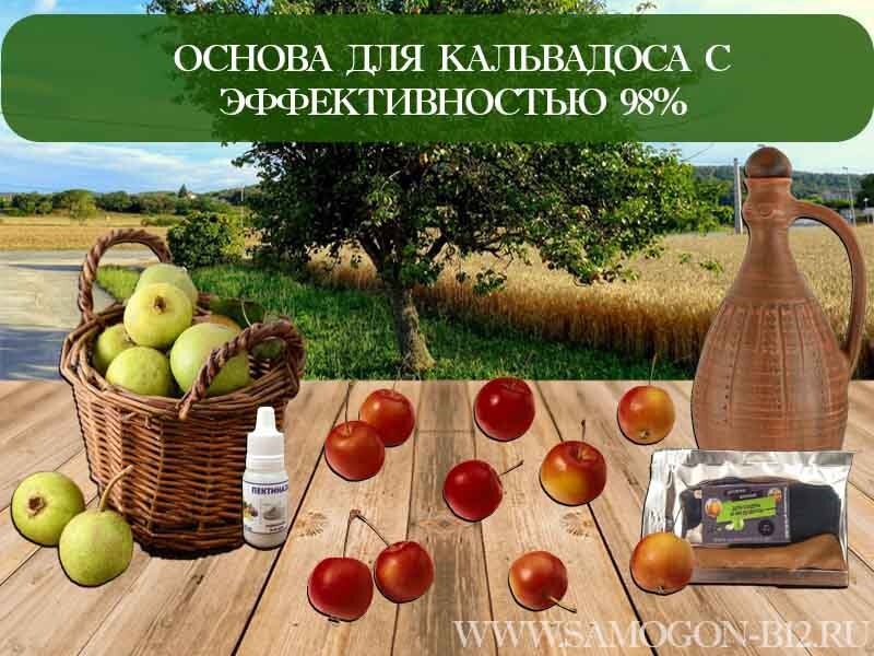 Основа для кальвадоса с эффективностью 98%. Коллаж автора.