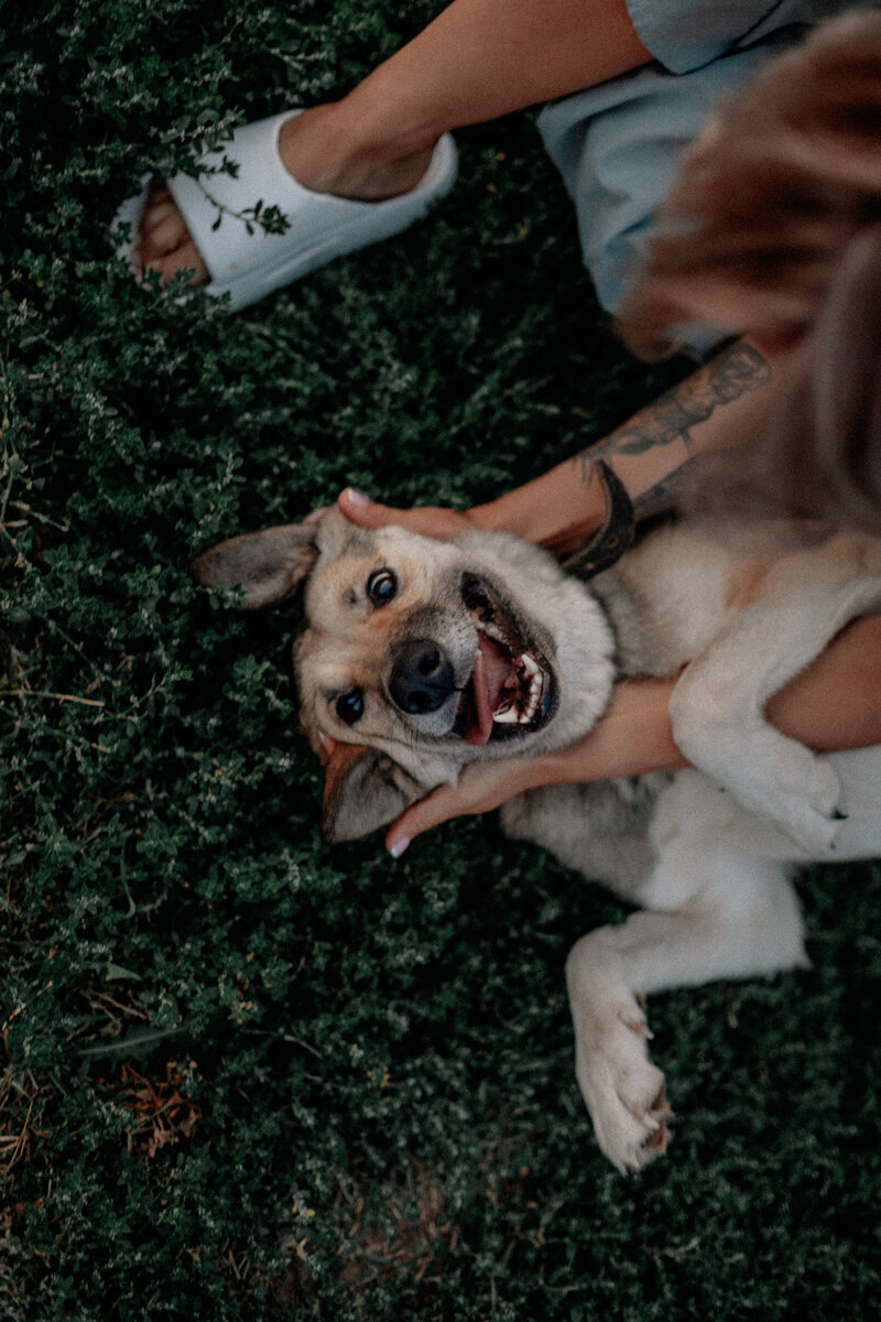❤ Будет верным другом для вас и ваших детей, никого не даст в обиду.
