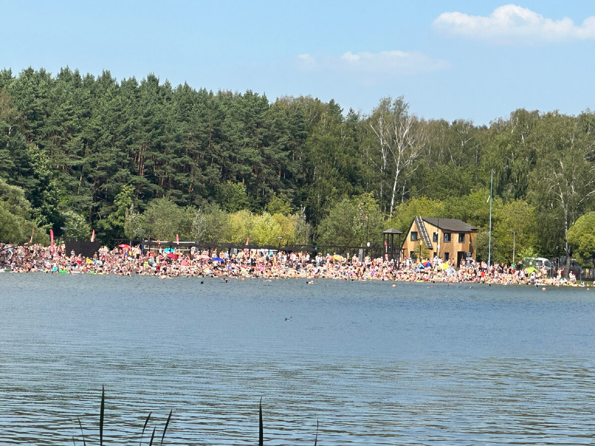 мещерский парк одинцово