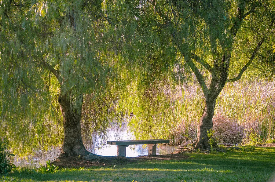 Фото из бесплатного доступа