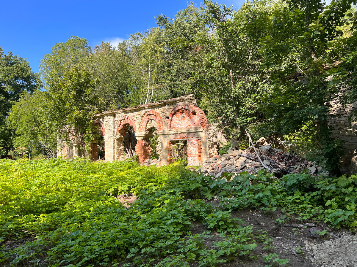 Остатки Оранжереи