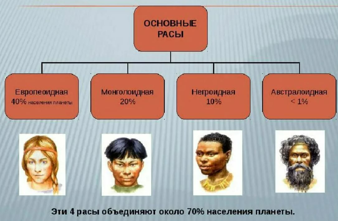 Человеческие расы 9 класс. Расы людей. Основные расы людей. Классификация по расам. Деление людей на расы.