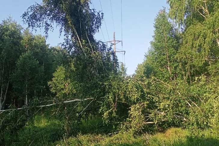    Фото с места аварии предоставлены АО «РЭС»