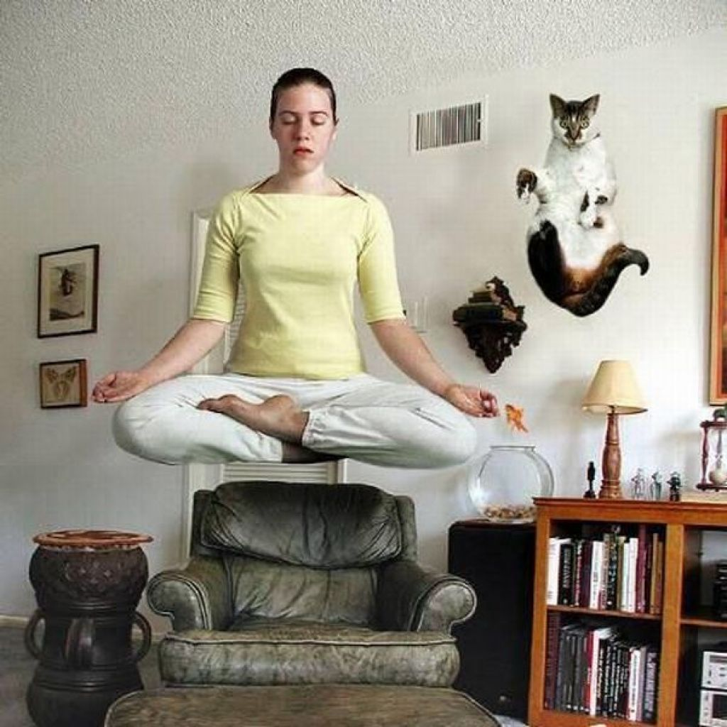 Кот в позе лотоса