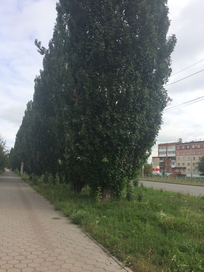    Фото: сообщество Подслушано Каменск-Уральский во Вконтакте