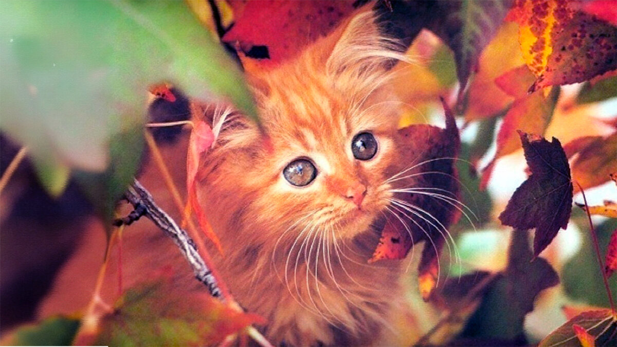 источник фото: www.inpearls.ru