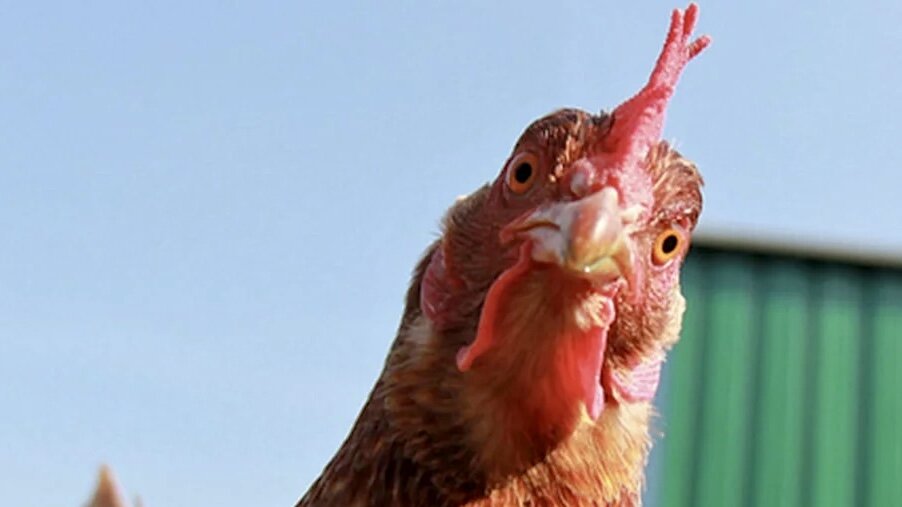 Фото для иллюстрации взято из открытого источника