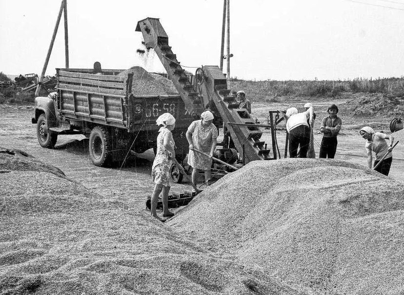 работа на погрузчике  (фото из открытых источников)