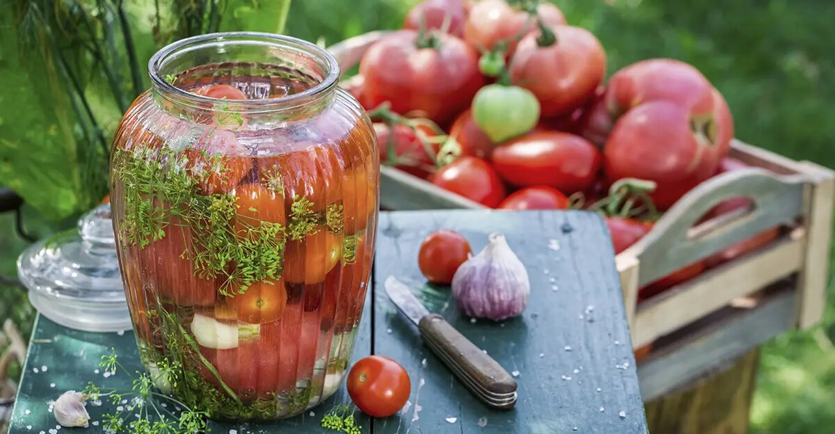 Маринованные помидоры с чесноком и зеленью за сутки