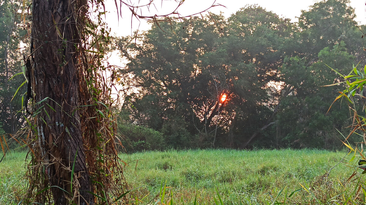 галерея листается