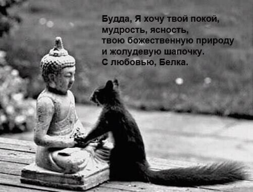 фото из открытых источников интернет