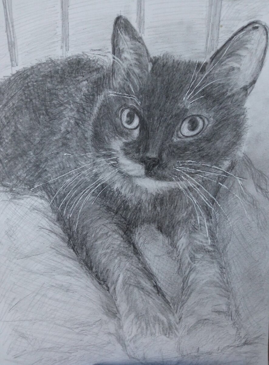 Портрет Рыськи