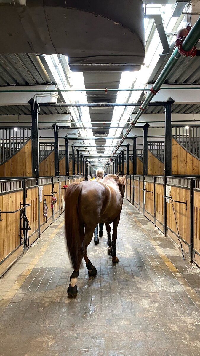 Проход одной из конюшен