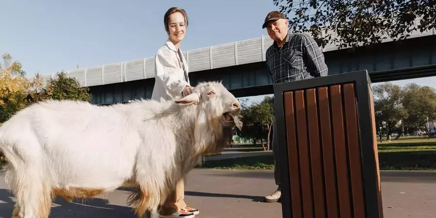    А вы гладили бутовского козла?.Елена Купцова