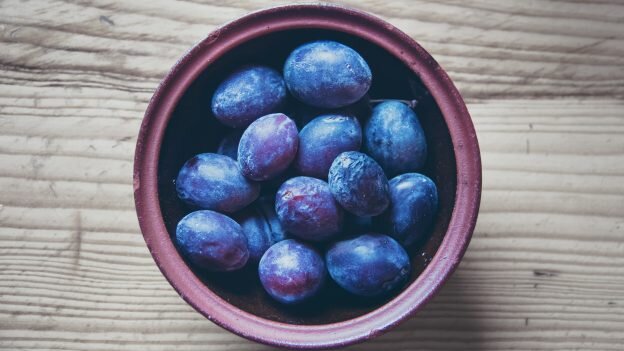 Фото: Pixabay.com