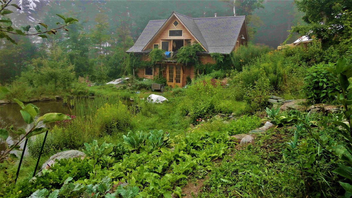 Фото с Яндекс картинки.
