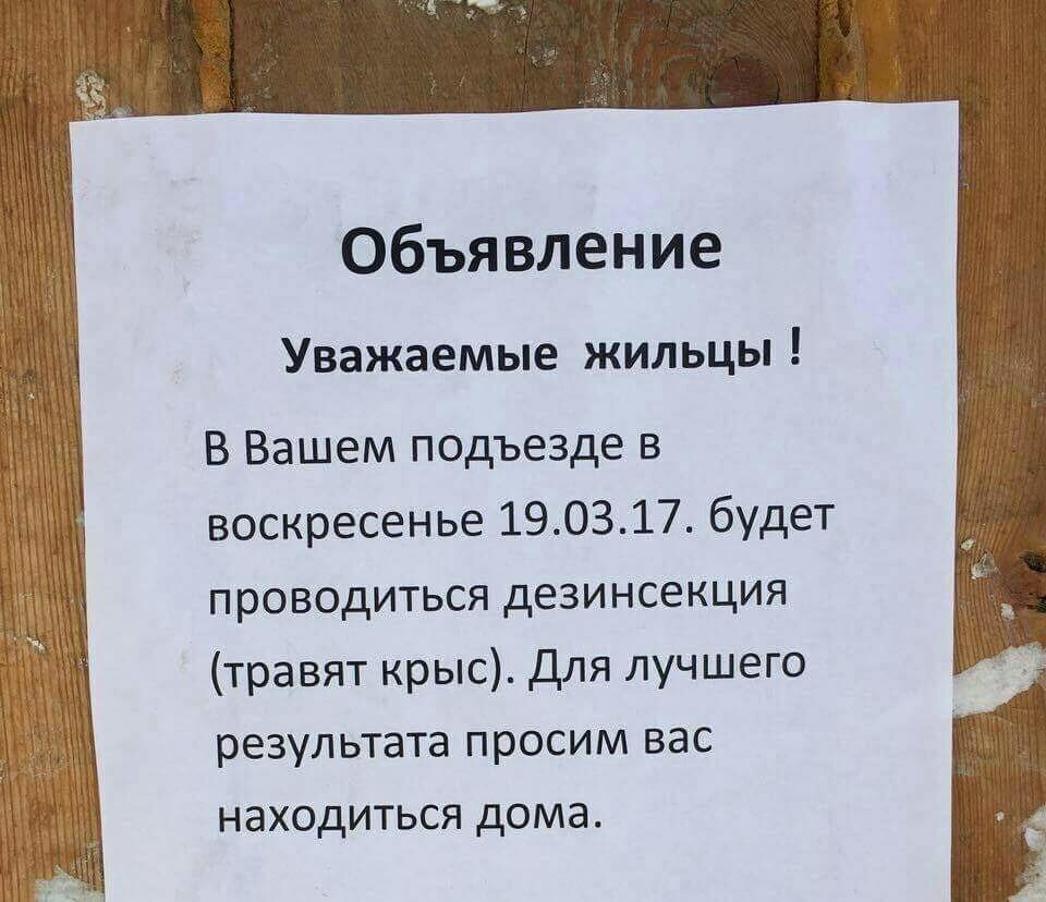 Фото взято из открытого источника Яндекс.Картинки
