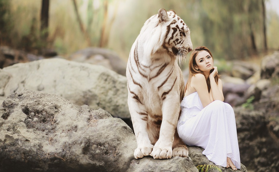 Девушка с бенгальским белым тигром 
