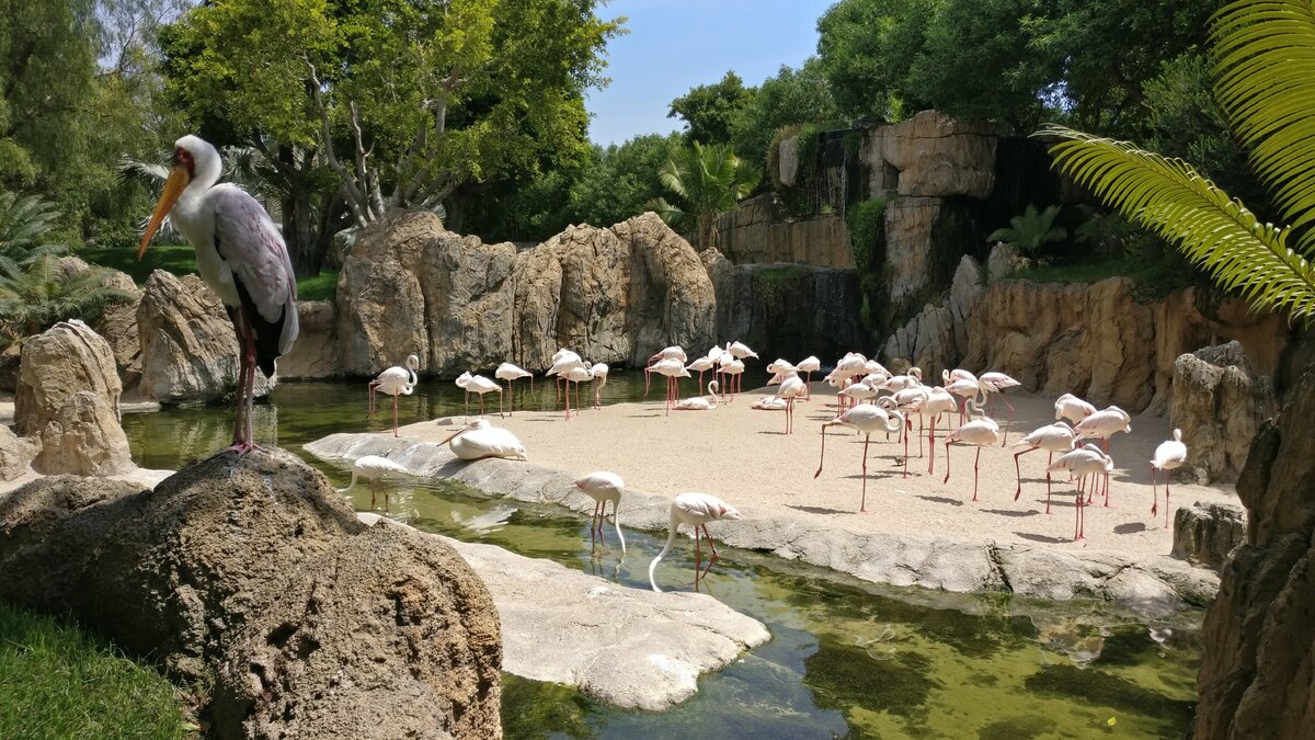 Испанский зоопарк