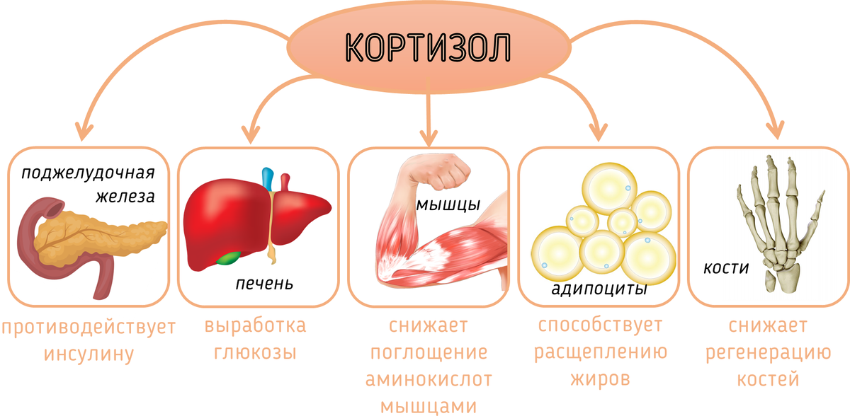 Голод часть 2