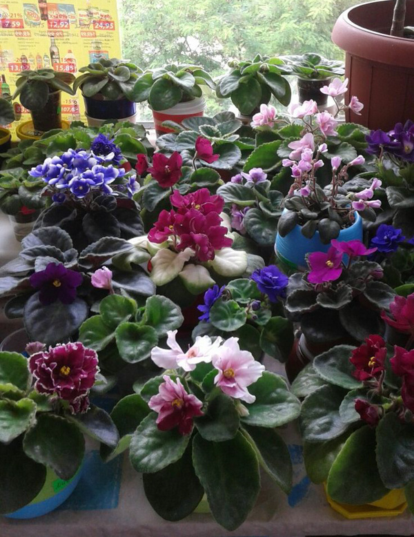 Источник: https://i.pinimg.com/736x/d8/c3/c7/d8c3c74f34acc6fdac2070caec5d59f7.jpg