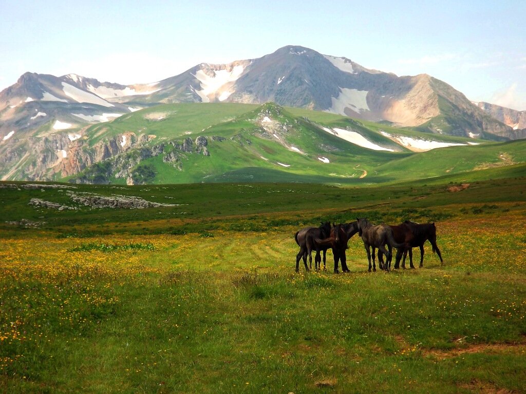 Кавказский биосферный заповедник Краснодарский край