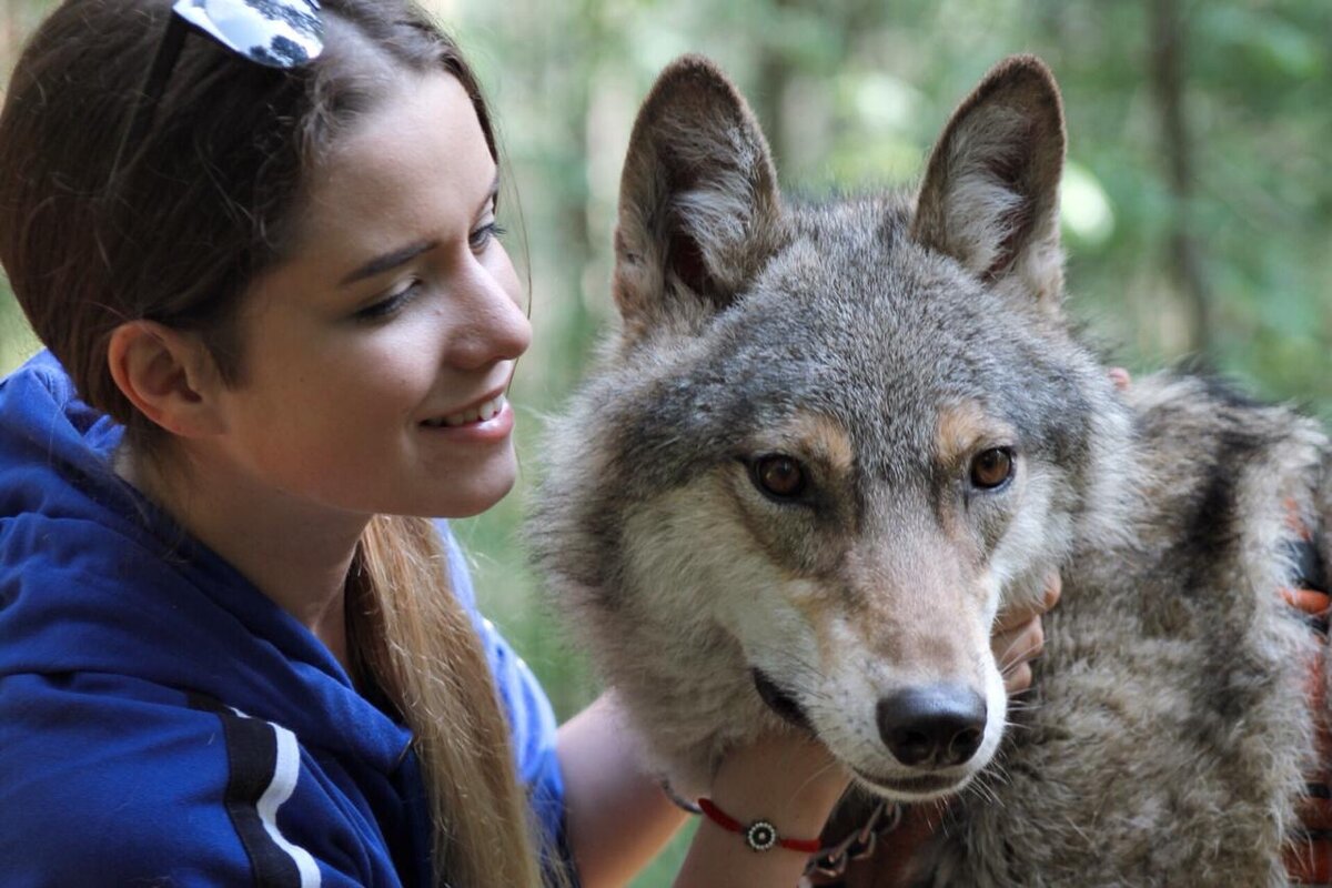 прогулка с волком Февралем
