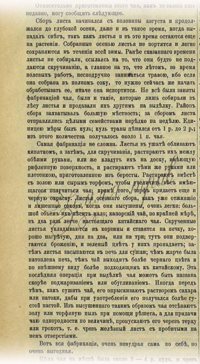 Рецепты копорского чая XIX века. Первый достоверный обзор | Честный  иван-чай | Дзен