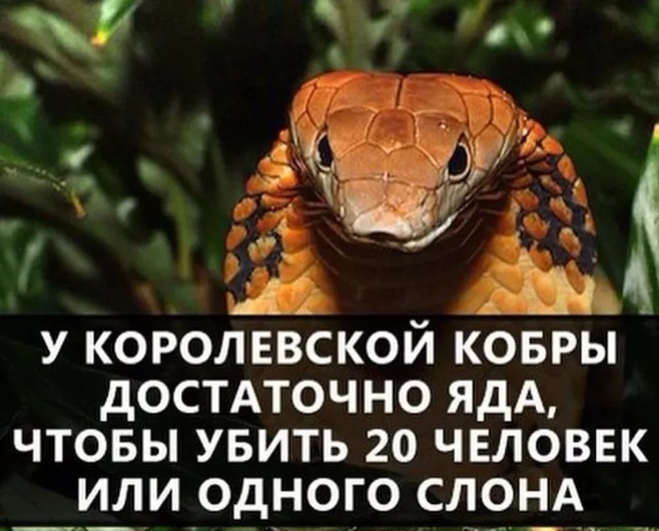 факты о мире и за его границами...