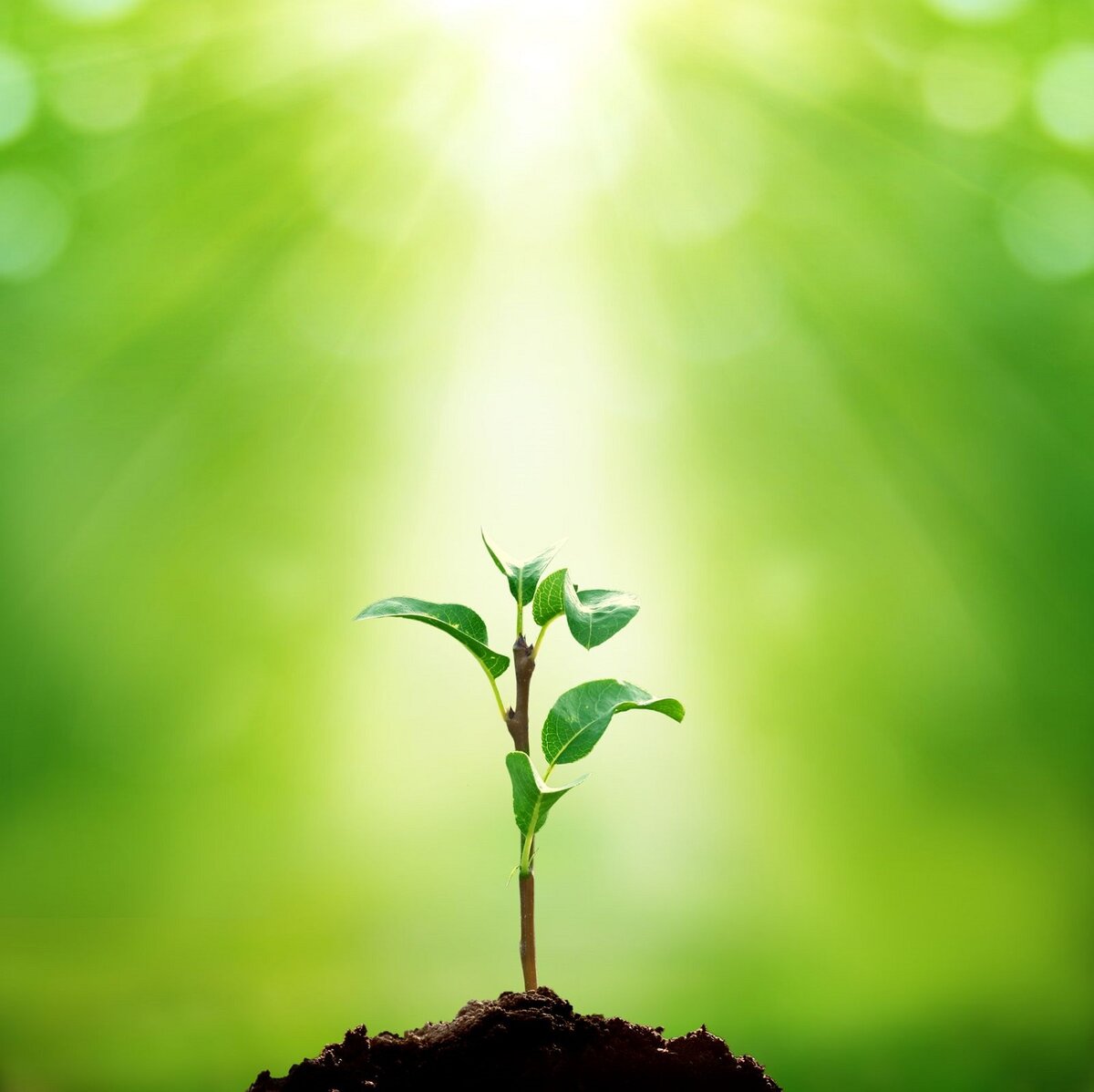 ВОЗМЕЗДИЕ и ДАР