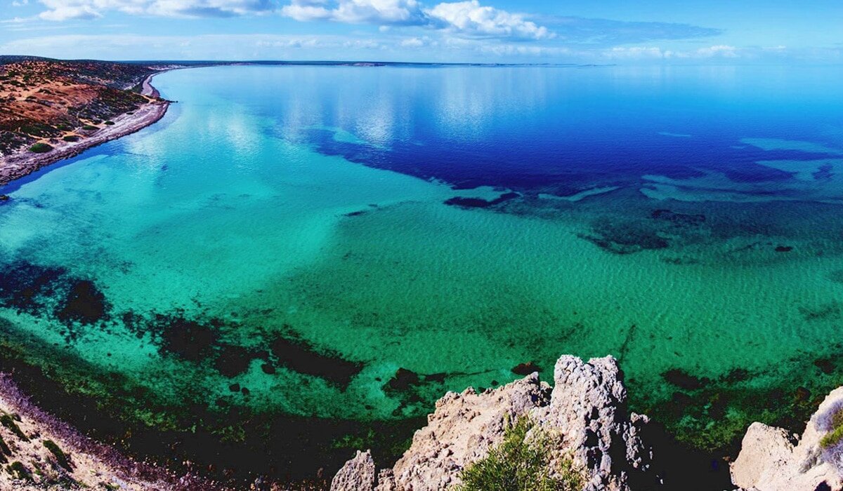 Shark Bay - место, где добывают икру
