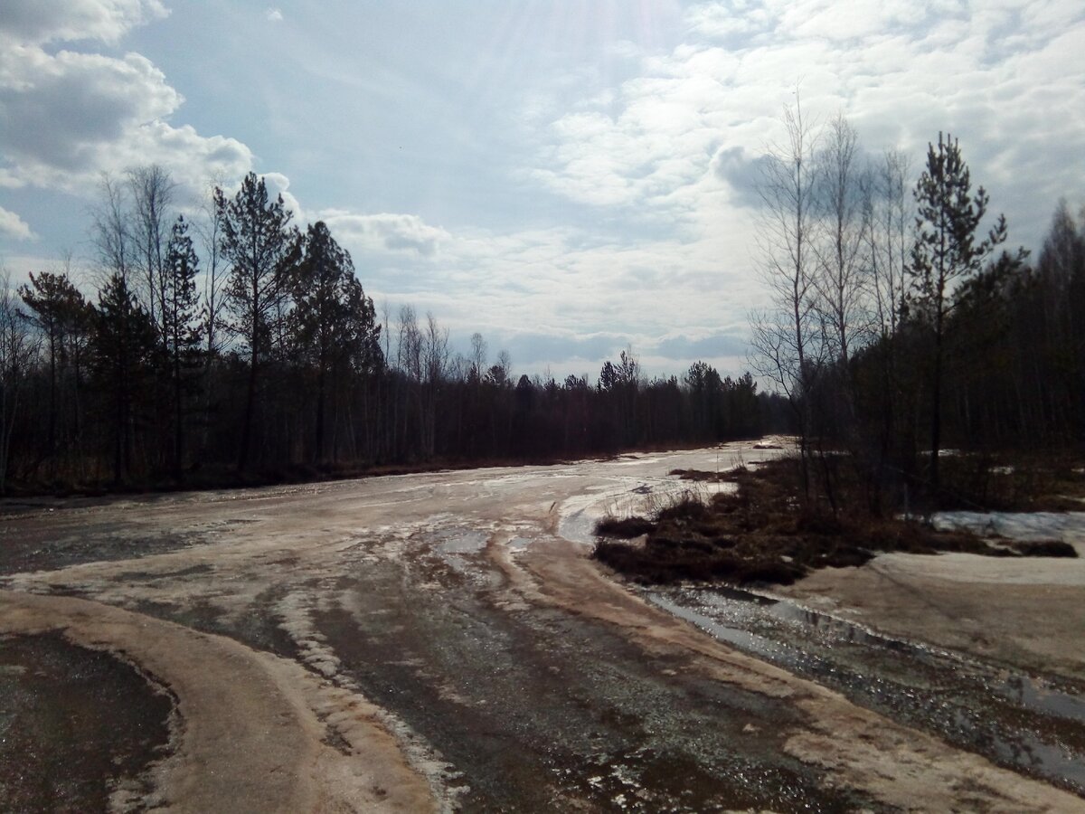 Обширные торфокарьеры тянутся с севера на юг